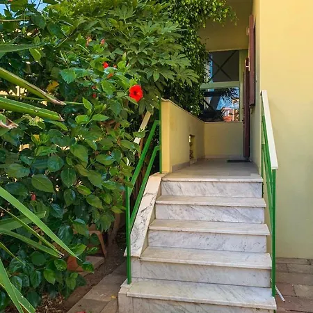 L'hibiscus Di Lucia *